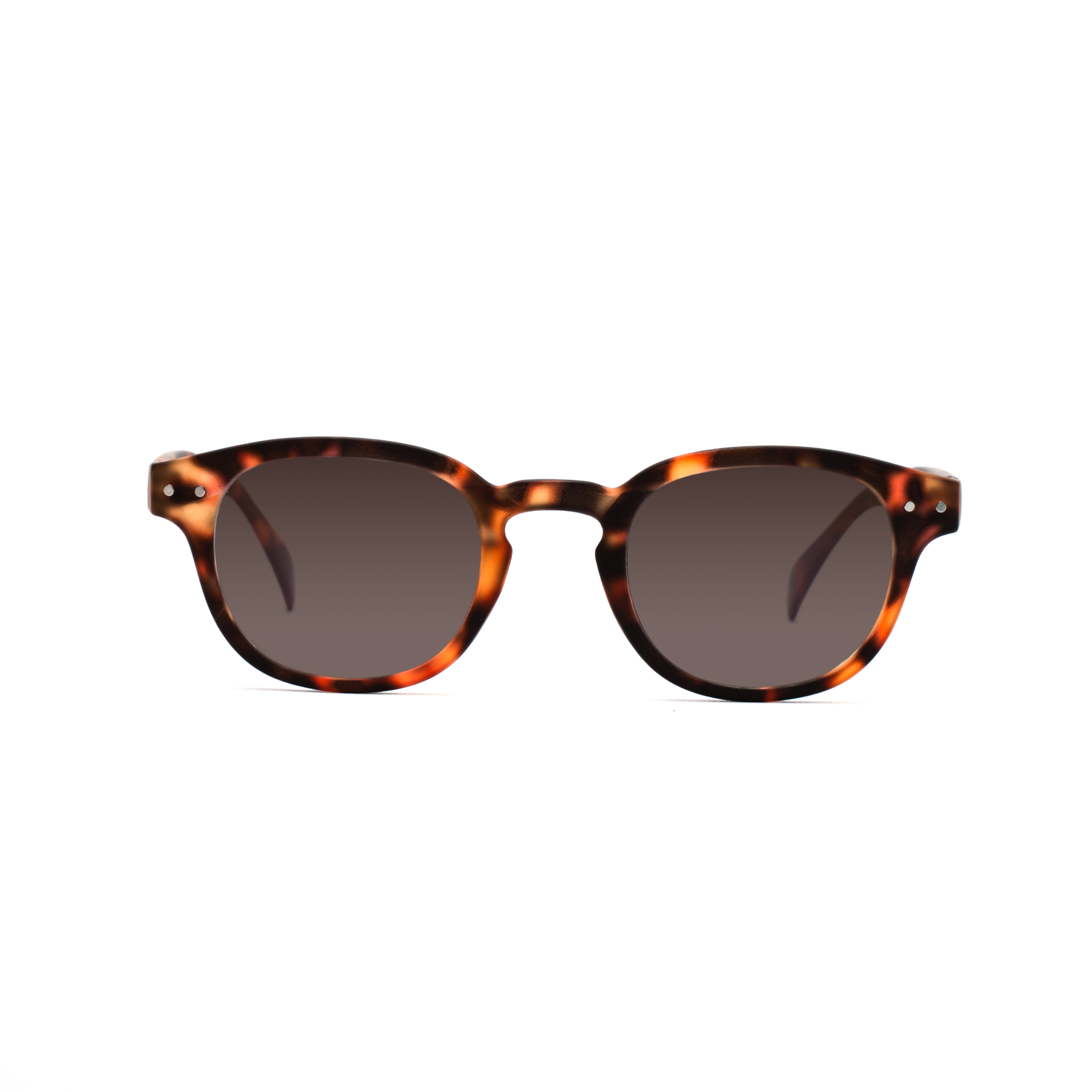 women's polarized sunglasses – Anton Polarised SUN w - Tortoise