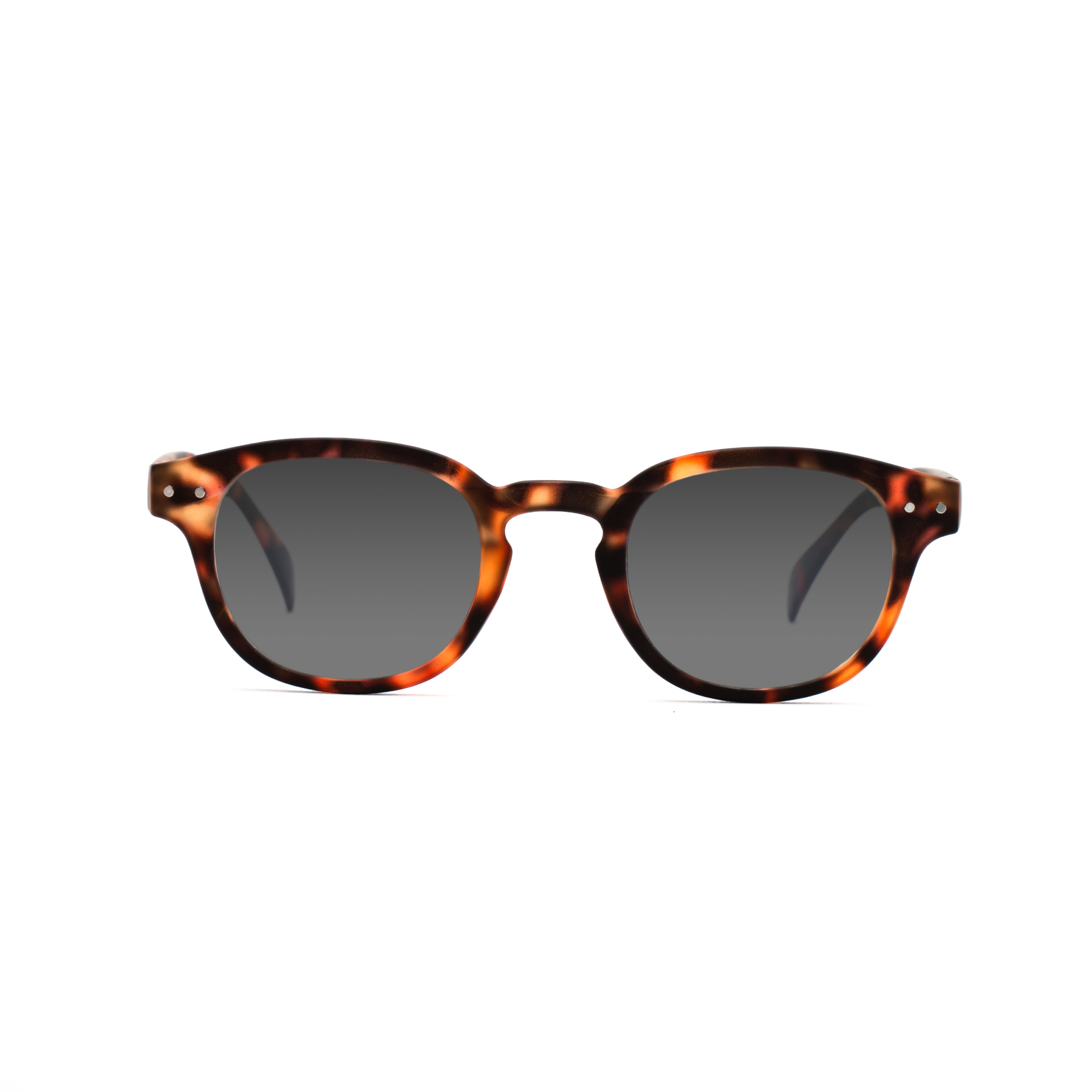 men's polarized sunglasses – Anton Polarised SUN m - Tortoise