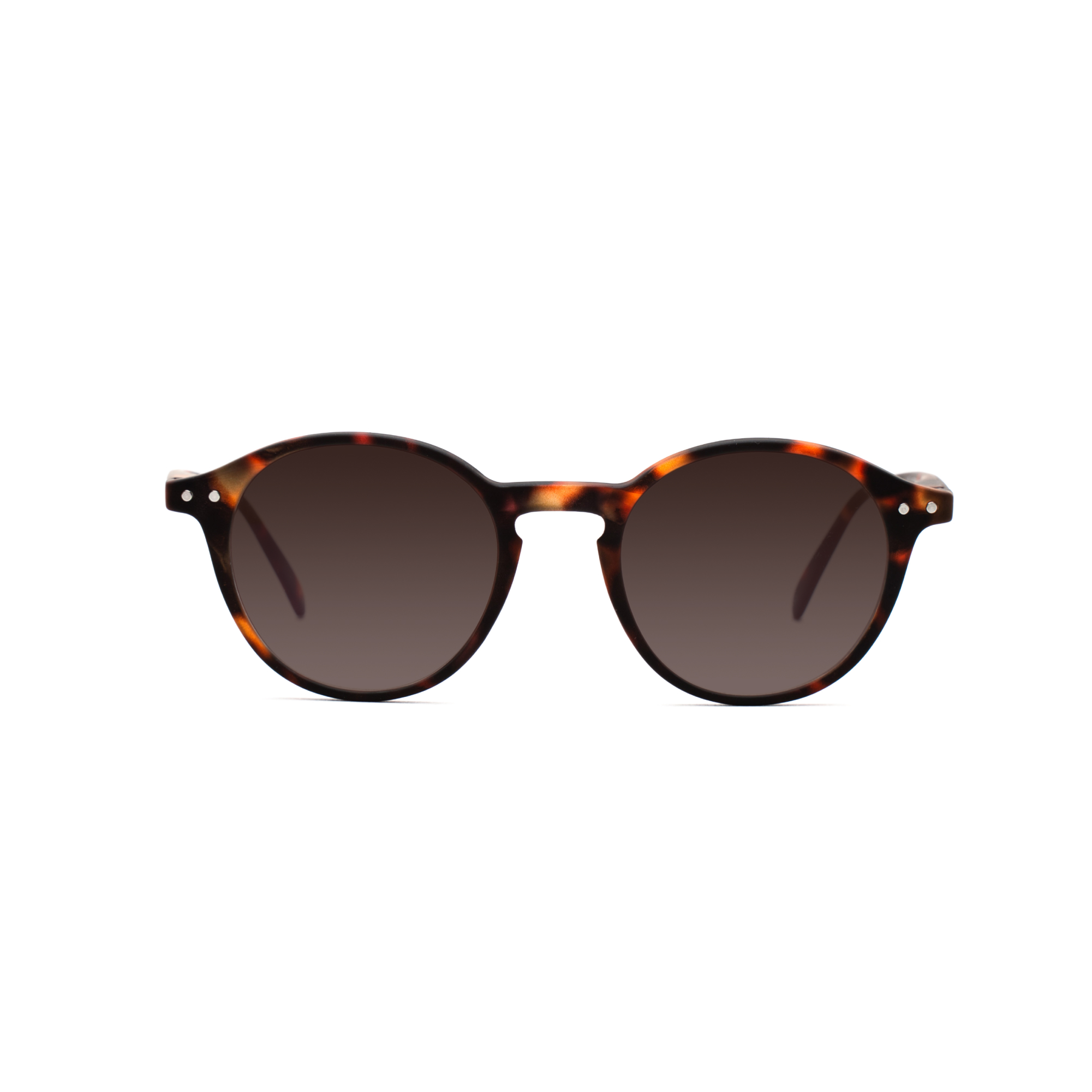 men's polarized sunglasses – Luca Polarised SUN m - Tortoise