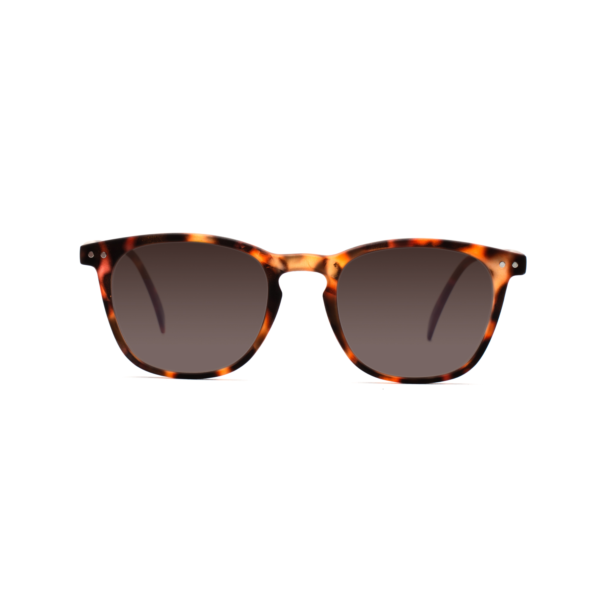 Polarized Sunglasses – William Polarised SUN w - Tortoise