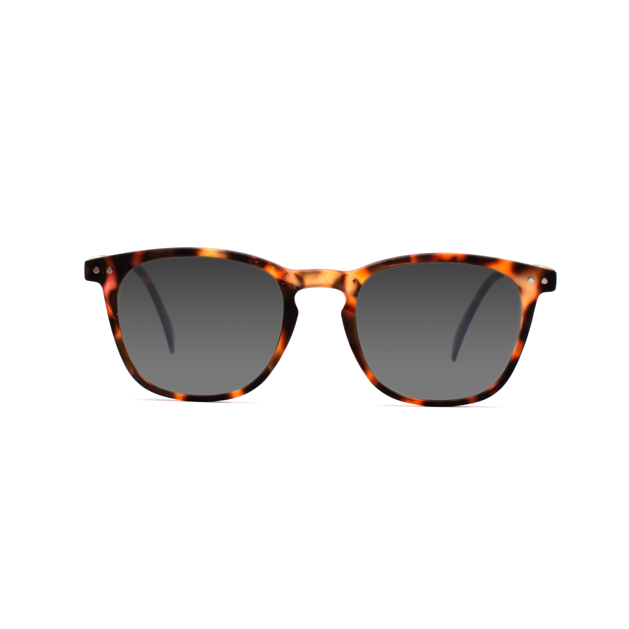 men's polarized sunglasses – William Polarised SUN m - Tortoise